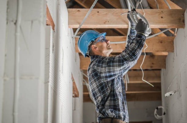 Best Local Electrician Companies  in Oakfield, WI